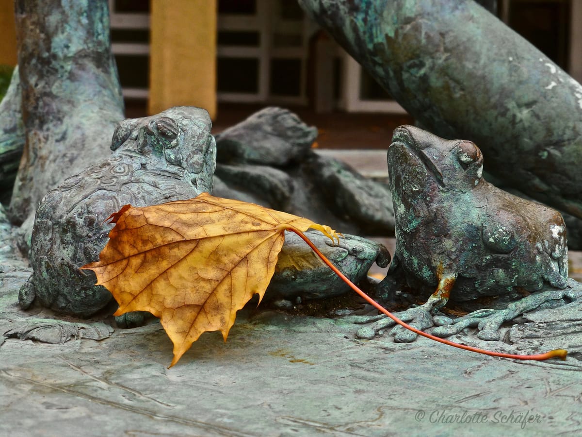 Es ist Herbst - das Foto des Tages