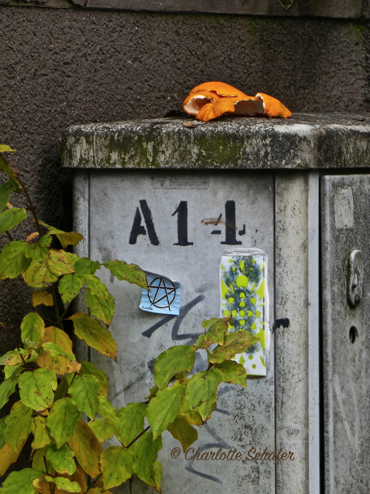 Mein Adventskalender 2022 - 14. Türchen
