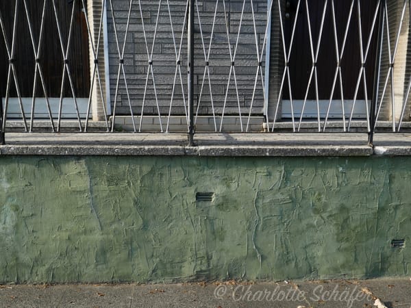 Die Farbe des Tages - die Fotos des Tages