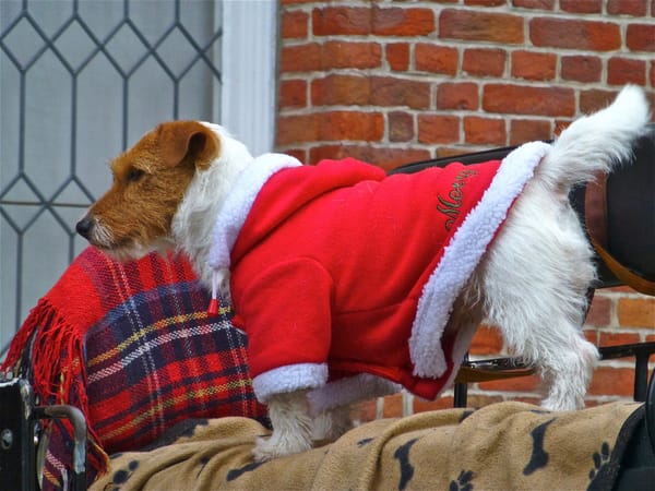 Merry Christmas