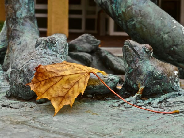 Es ist Herbst - das Foto des Tages