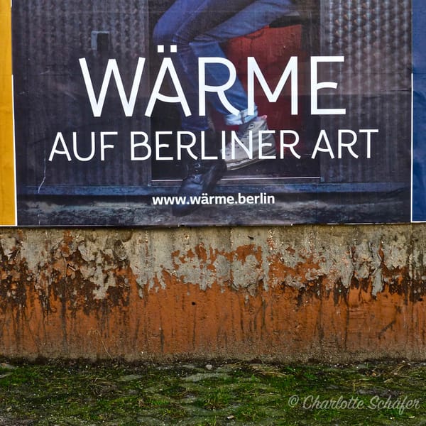 Winter in Berlin - die Fotos des Tages