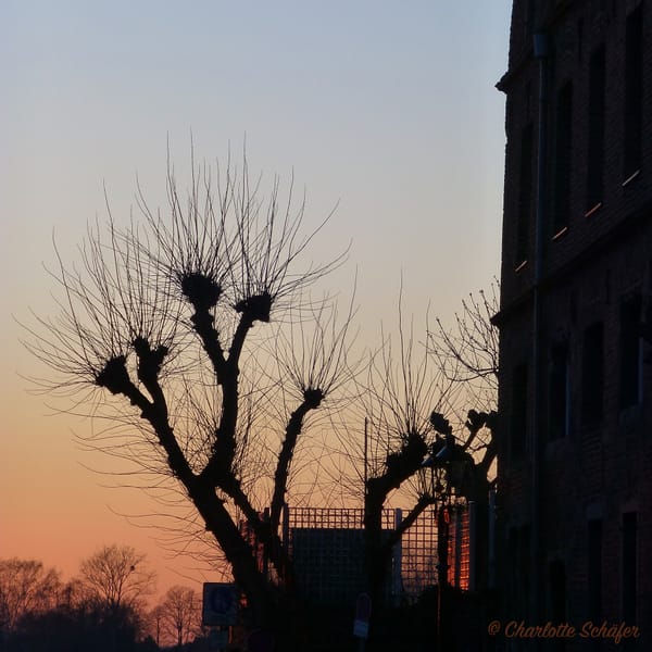 Sunset in Kaiserswerth